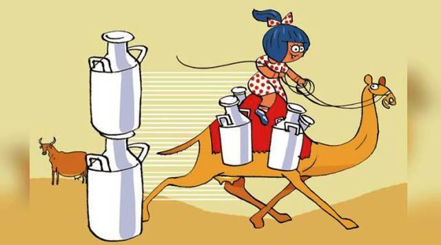 500 Ml Of Delicious Healthy Amul Camel Milk For Just Rs 50