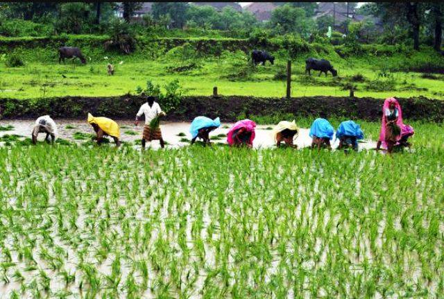 Agriculture is India’s Greatest Occupation, a Farmer its Driving Force