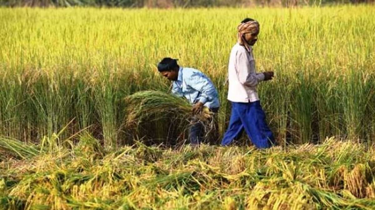 100-million-farmers-will-get-rs-2000-by-march-end-gajendra-shekhawat