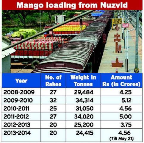 mango new variety