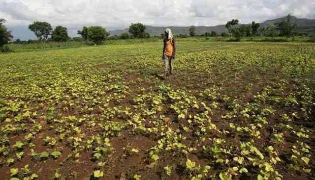 farmers MP