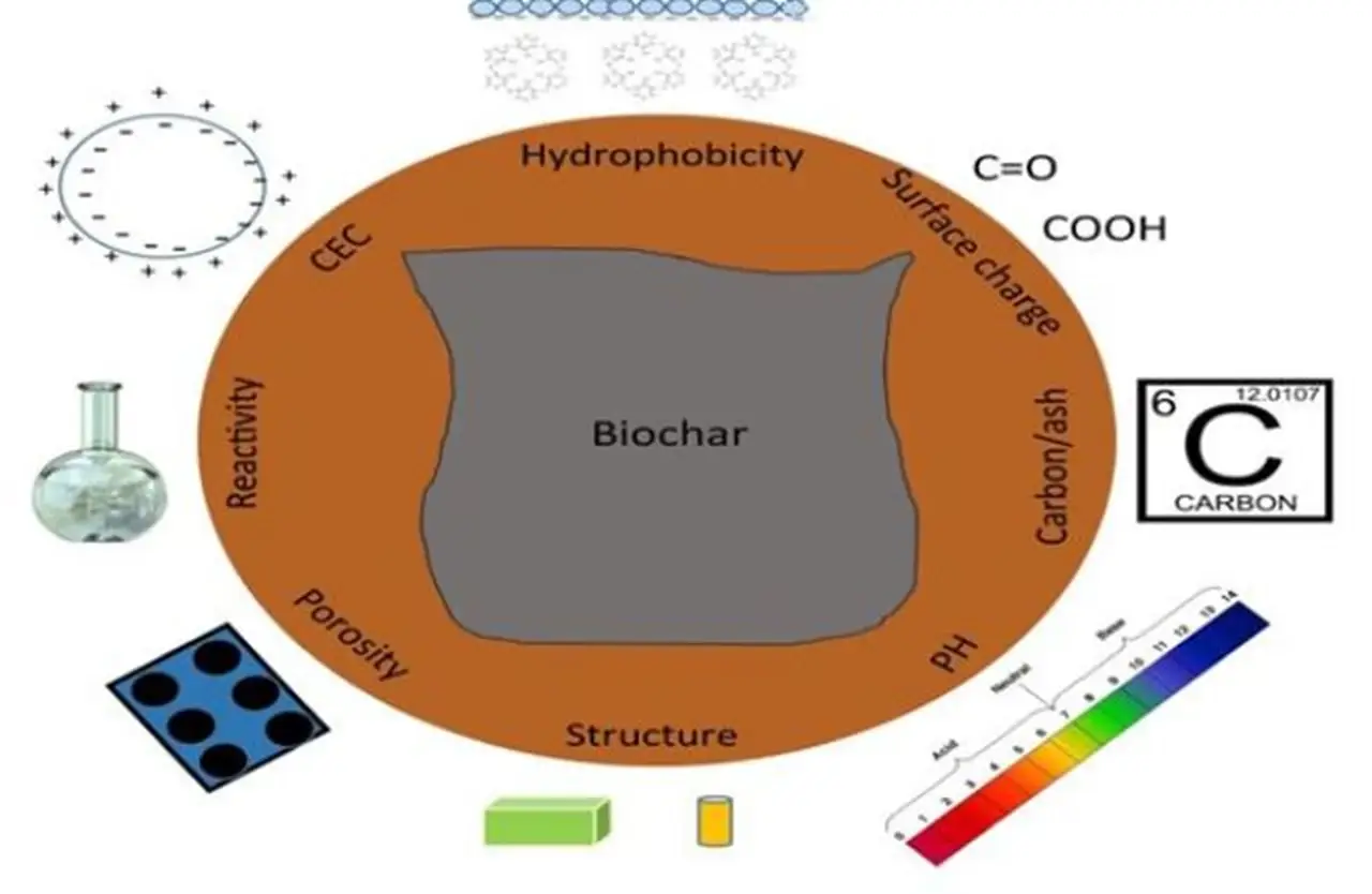 Physico chemical properties of Biochar: