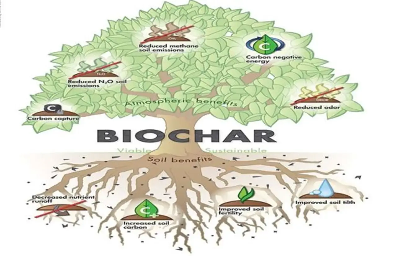 Benefits of biochar amendments on soil