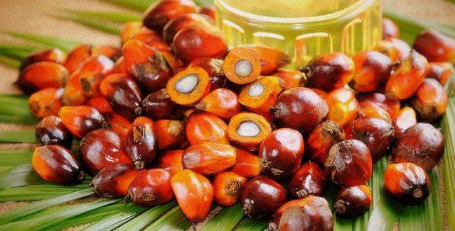 palm oil