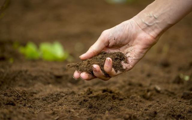 Importance Of Soil Fertility And Ways To Improve It