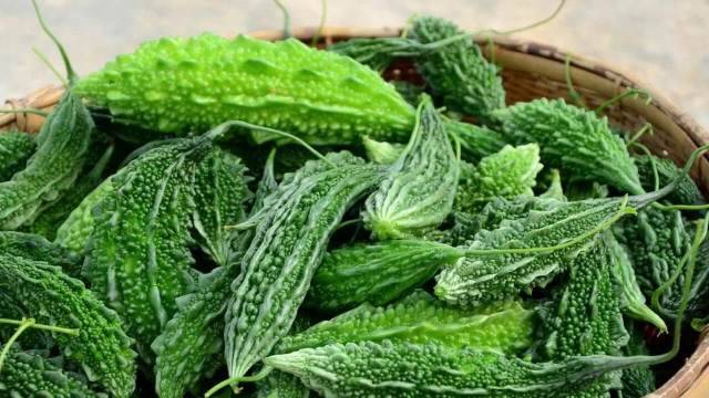 Karela diabetes