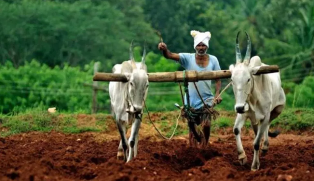 indian farmers