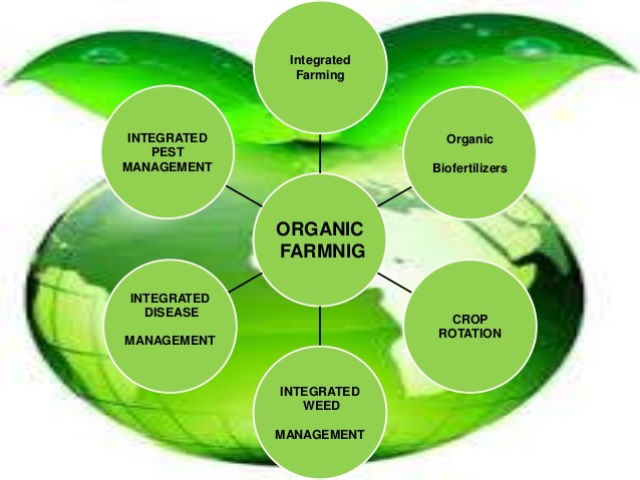 INTEGRATED DISEASE MANAGEMENT IN CROPS