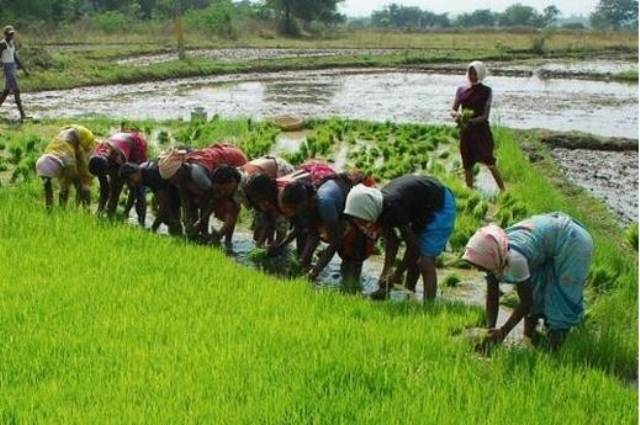 women-farmers