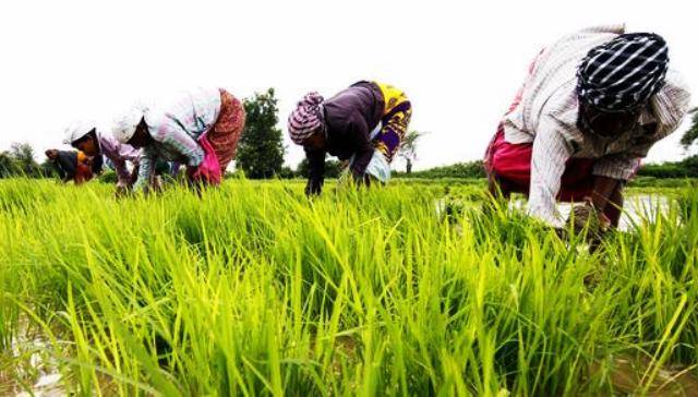 Women Farmers