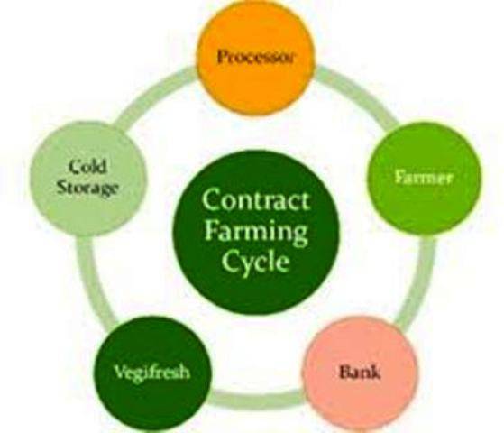 Contract Farming Law