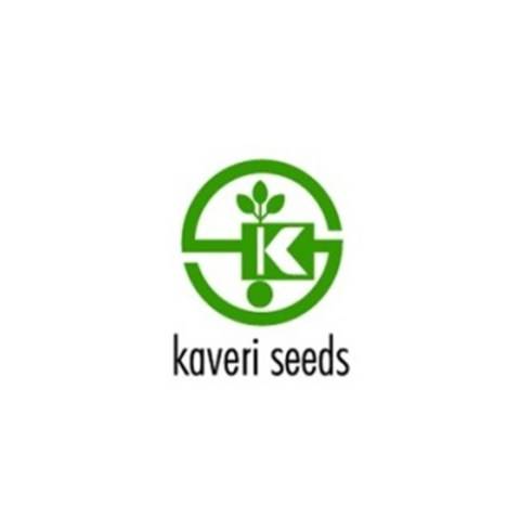 kaveri seed