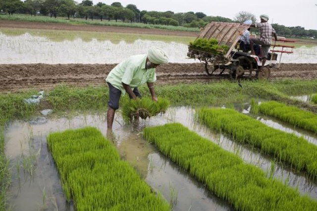 kharif season