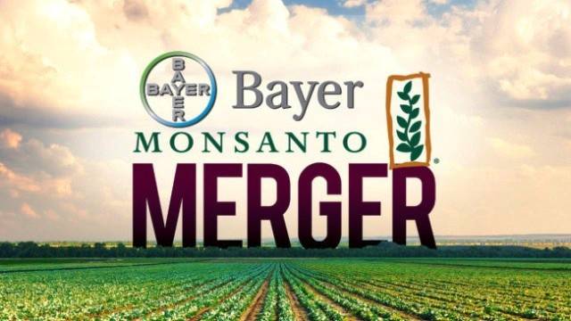 Bayer Monsanto Merger