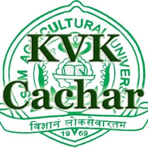 kvk cachar