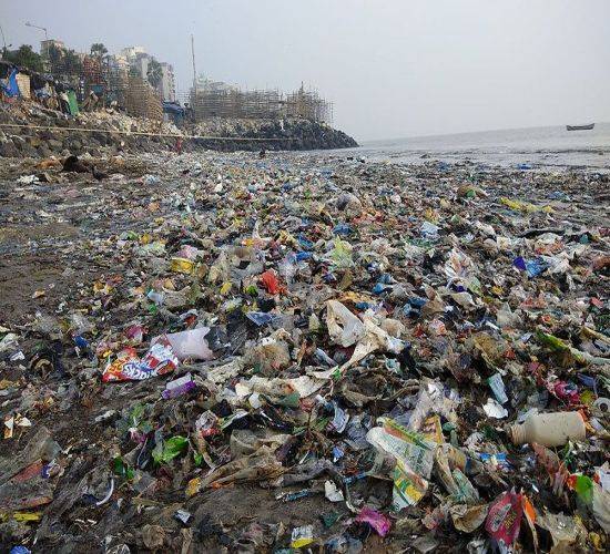 Mumbai waste