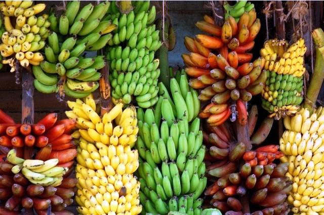 Different varieties of banana