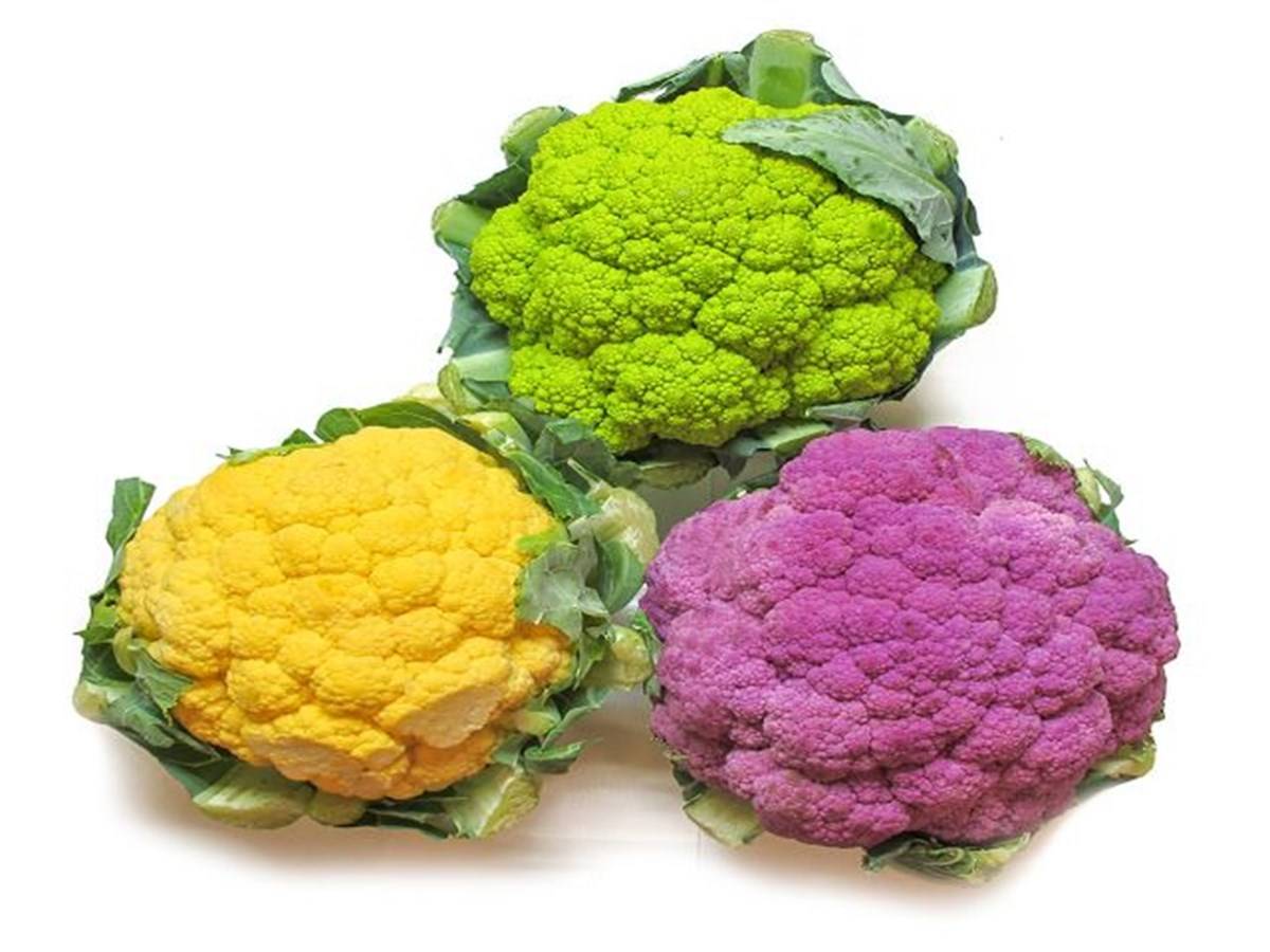 Fridens Colorecauliflower