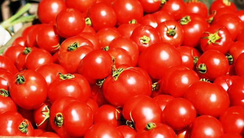 tomatoes