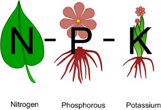 Npk