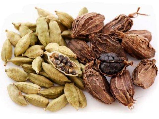 cardamom