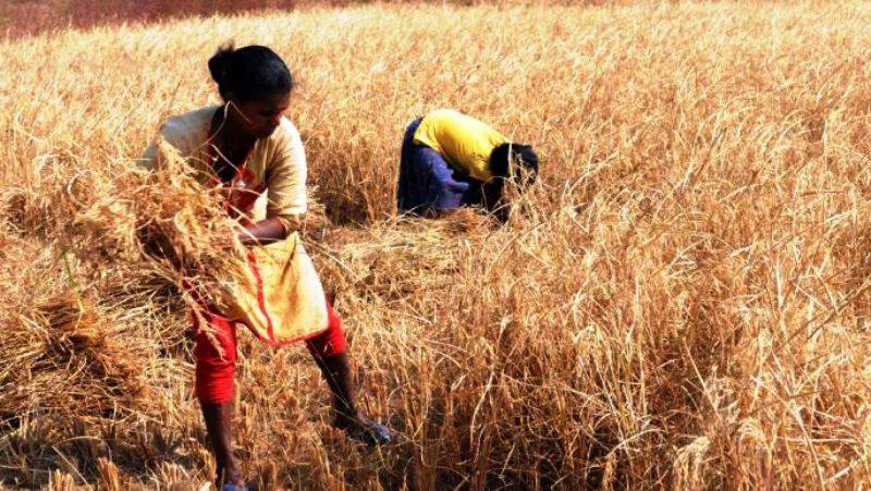 Jharkhand farmers