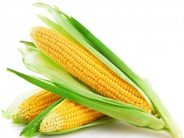 corn