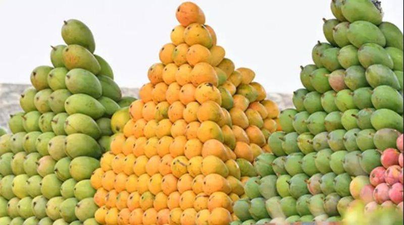 How to Choose a Perfect Mango? Do's & Don'ts While Buying Mangoes and  Method to Identify Among Different Varieties