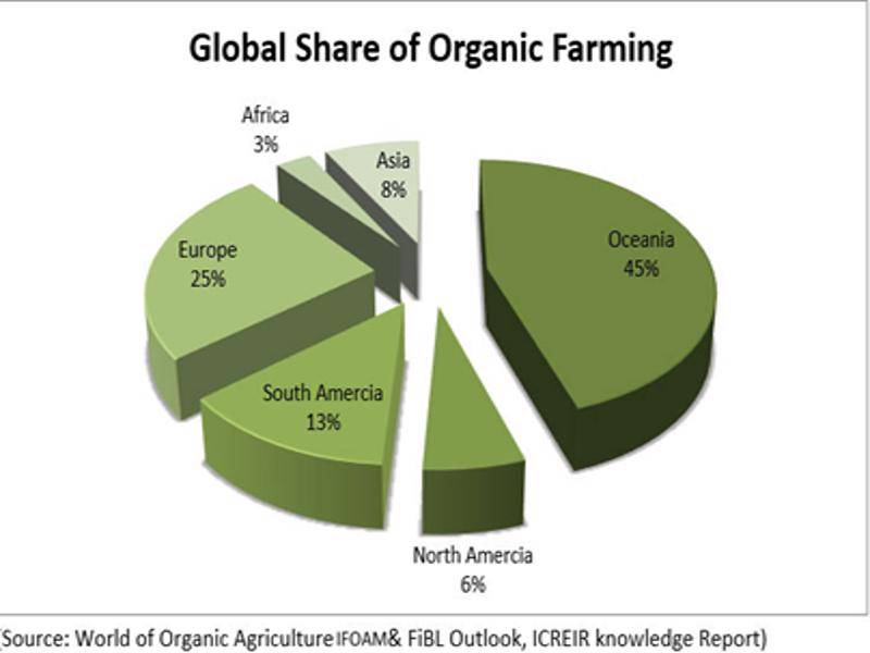 Global share of organic farming