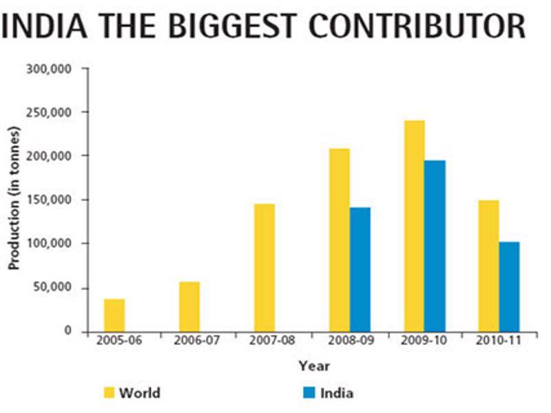 india the biggest contributor