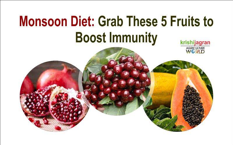 Fight Against Monsoon Diseases 5 Fruits To Boost Immunity 1820