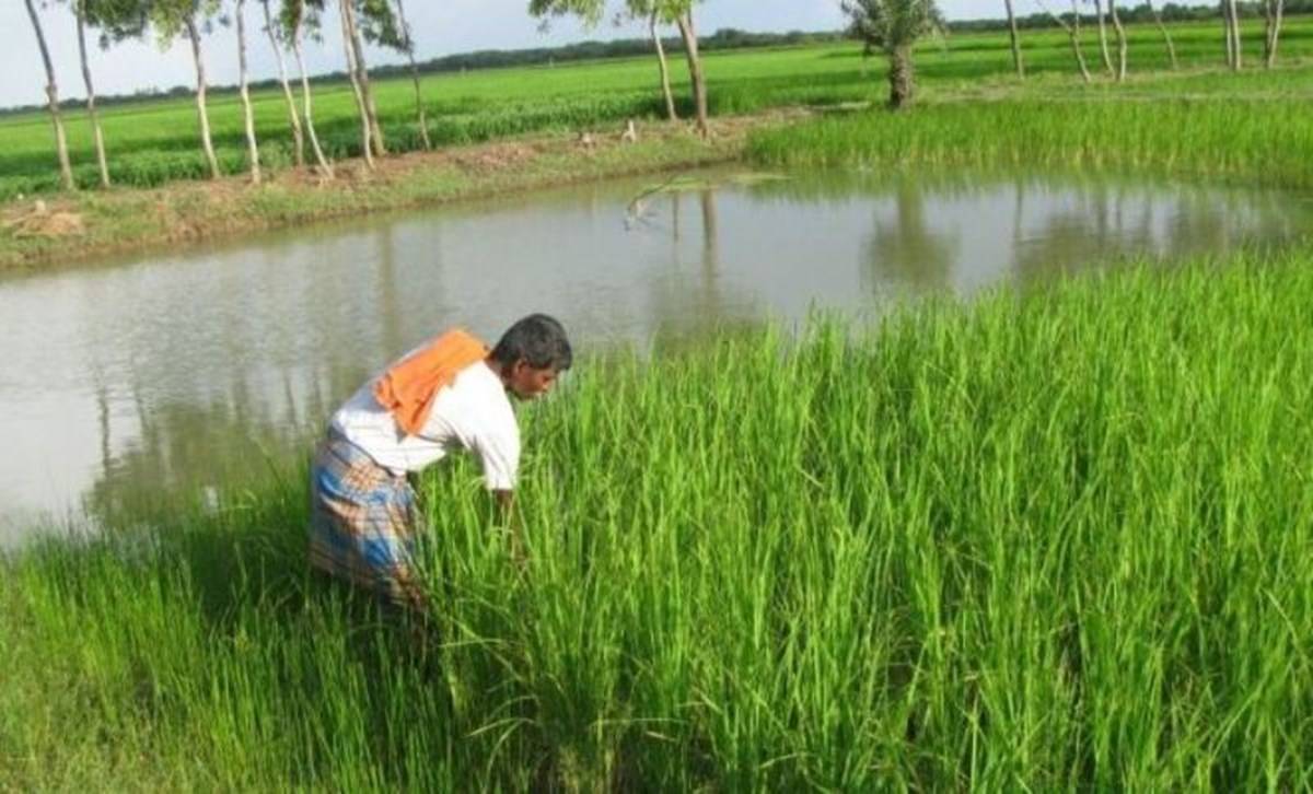 How West Bengal Government is Helping Farmers Do Organic Fish ...