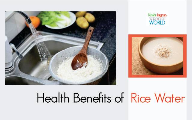 Scientist Reveals Incredible Benefits of Rice Water