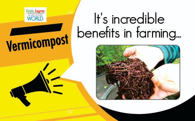 Know The Importance & Benefits Of Vermicompost And Complete Process Of ...