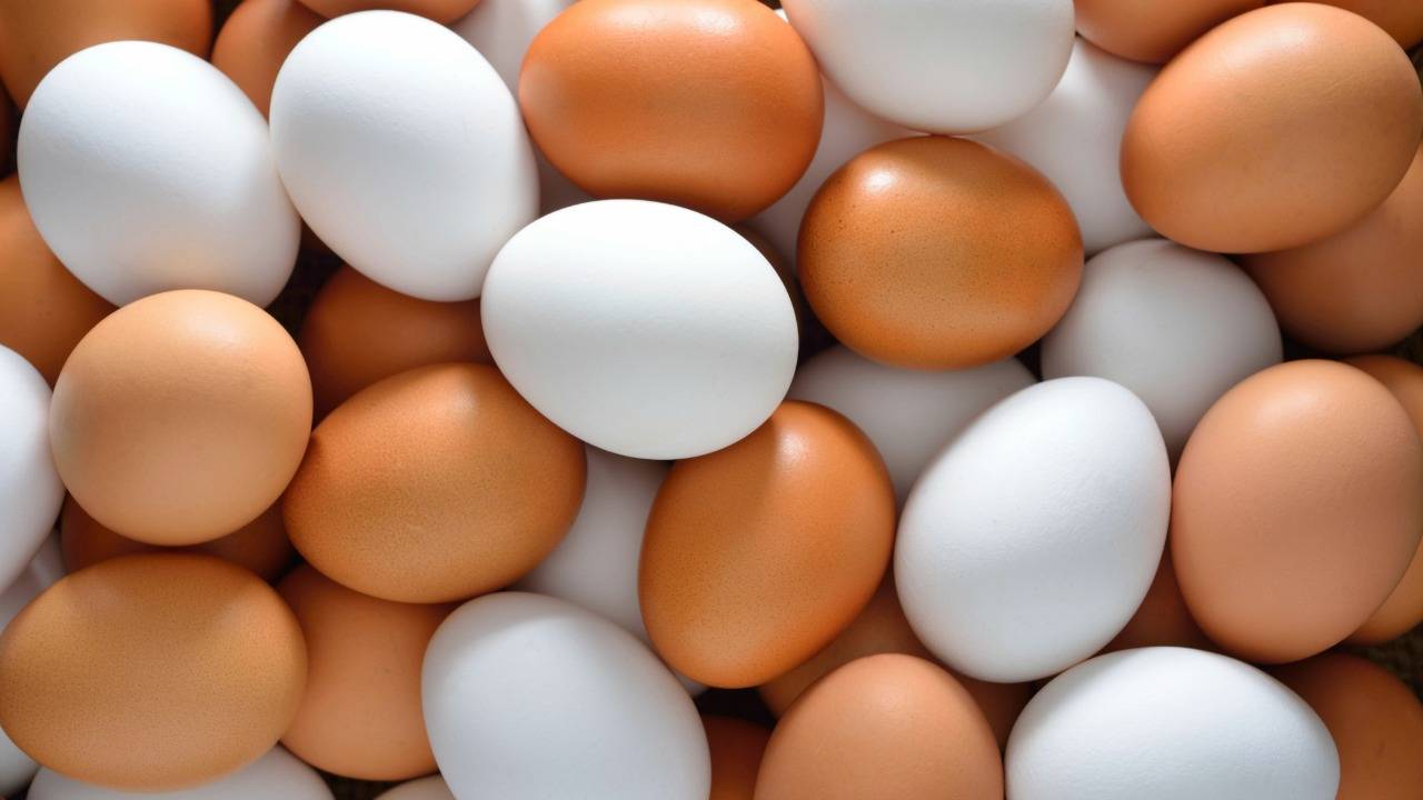 eggs