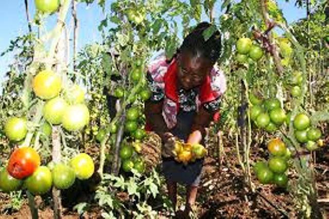 Scientists Develop Pesticide