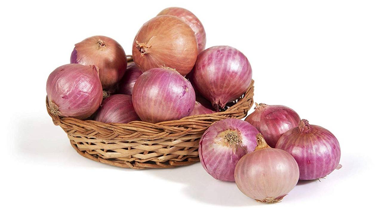 Onion Links Credit Card