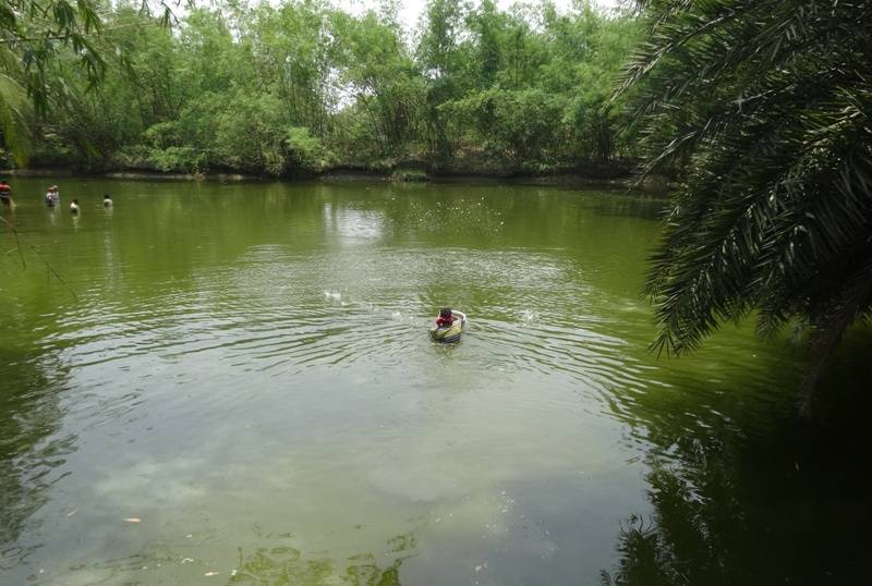 Spreading of lime in fish pond