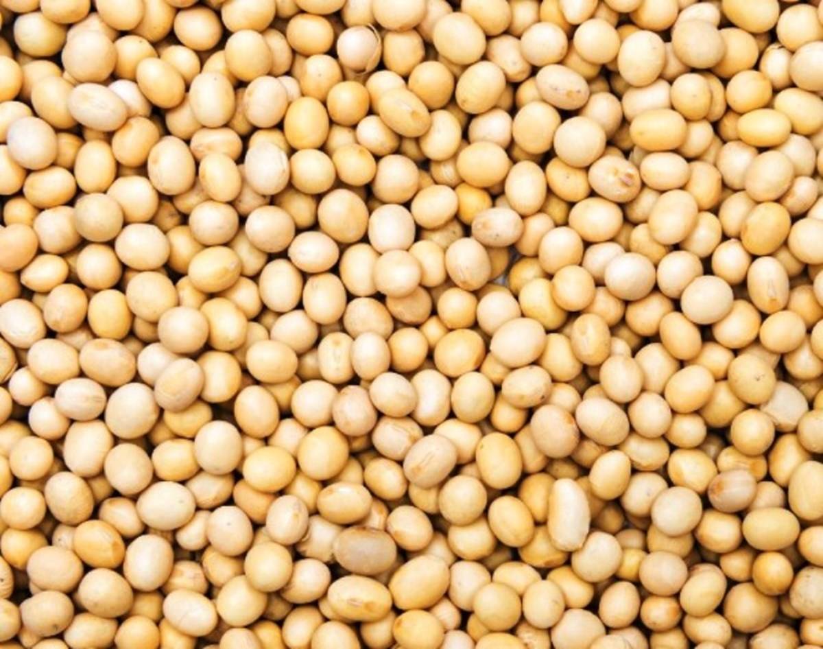 Agri Commodity Update: Guar gum, Refined Soya Oil, Coriander Prices Dips