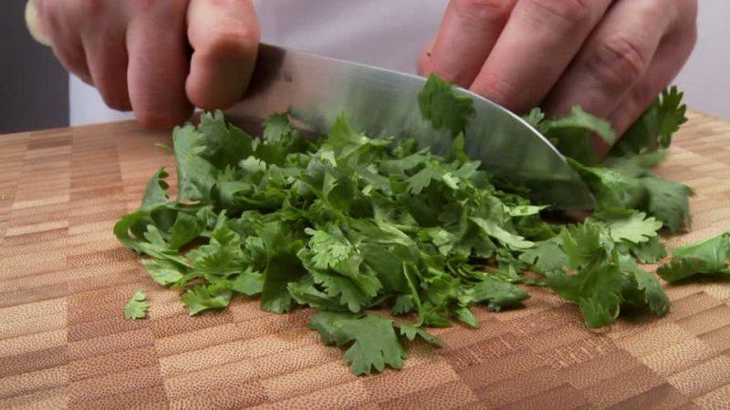 Green Leaves of Coriander