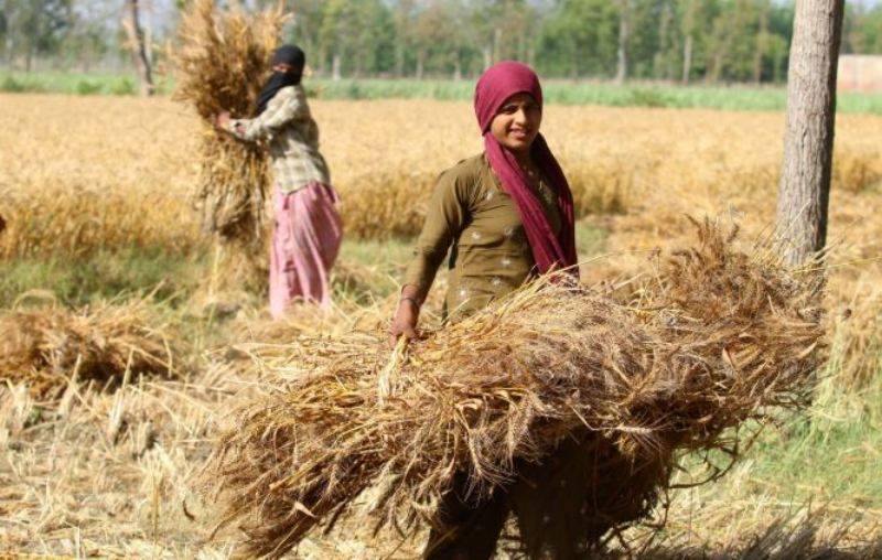 Top 7 banks providing easy loans to farmers