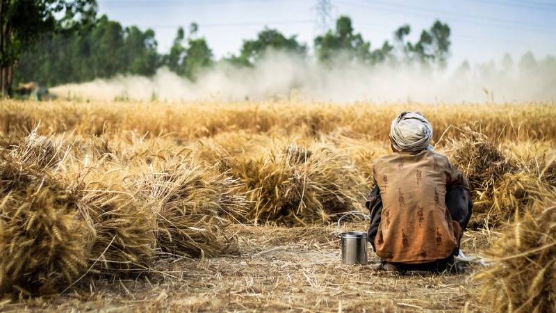 stubble burning