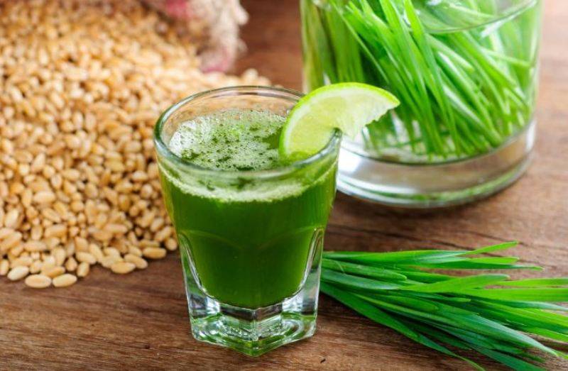 wheatgrass juice