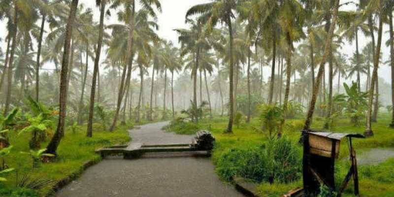 Kerala heavy rain