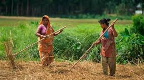 traditional agriculture