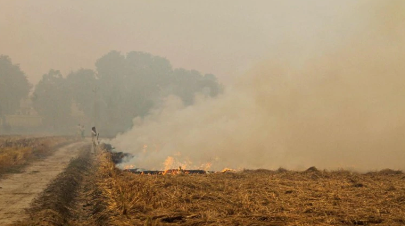 delhi pollution