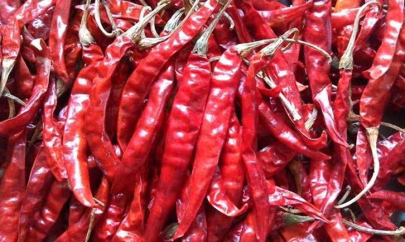 red chilly