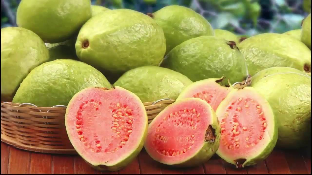 5 Incredible Health Benefits of Guava to Beat Cancer and Many Wintery Diseases