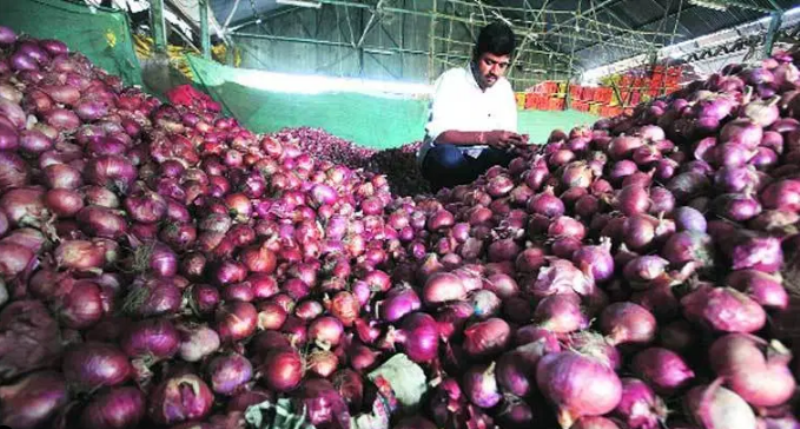 onion export