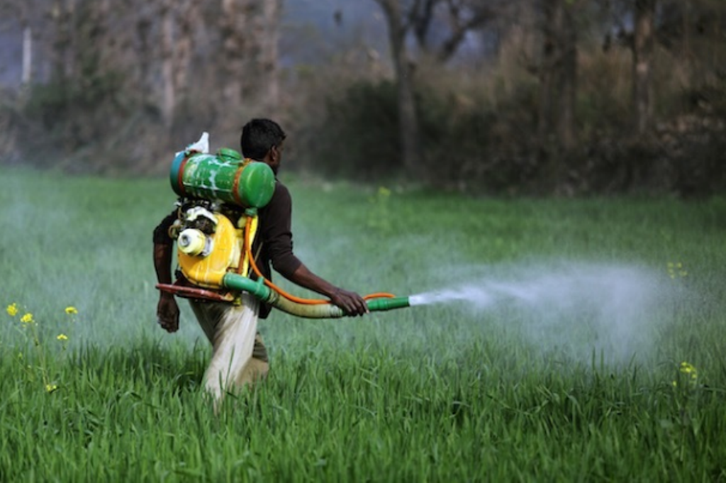 A Farmer Using Pesticide in the His Field